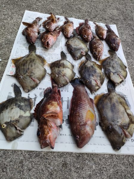 カワハギ釣り。えさ政から