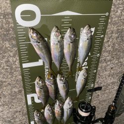 SoaRe XTUNEでの初アジ