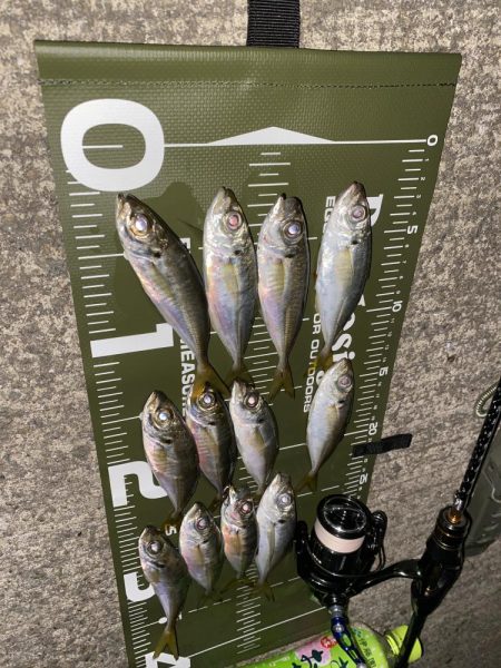 SoaRe XTUNEでの初アジ