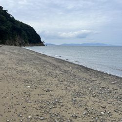 ショアジギング？