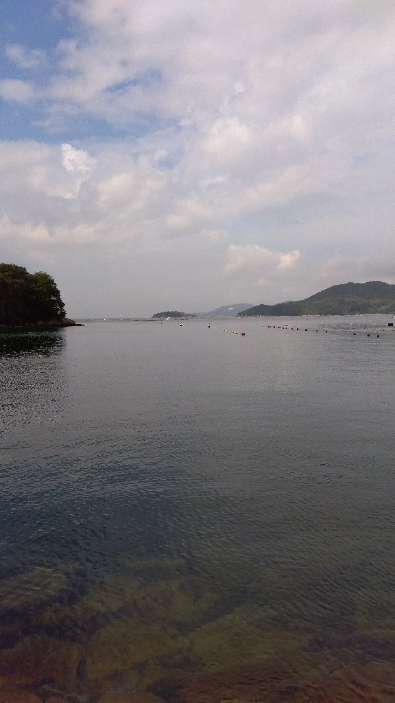 室津のキス釣り
