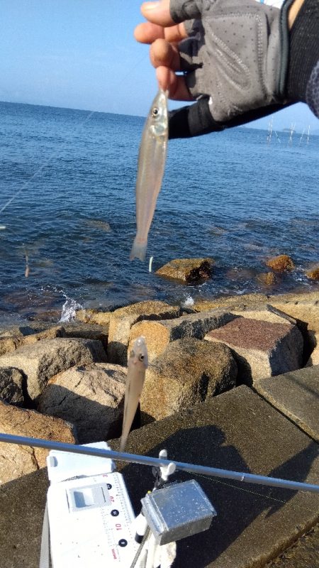 苅屋海岸の投げ釣り