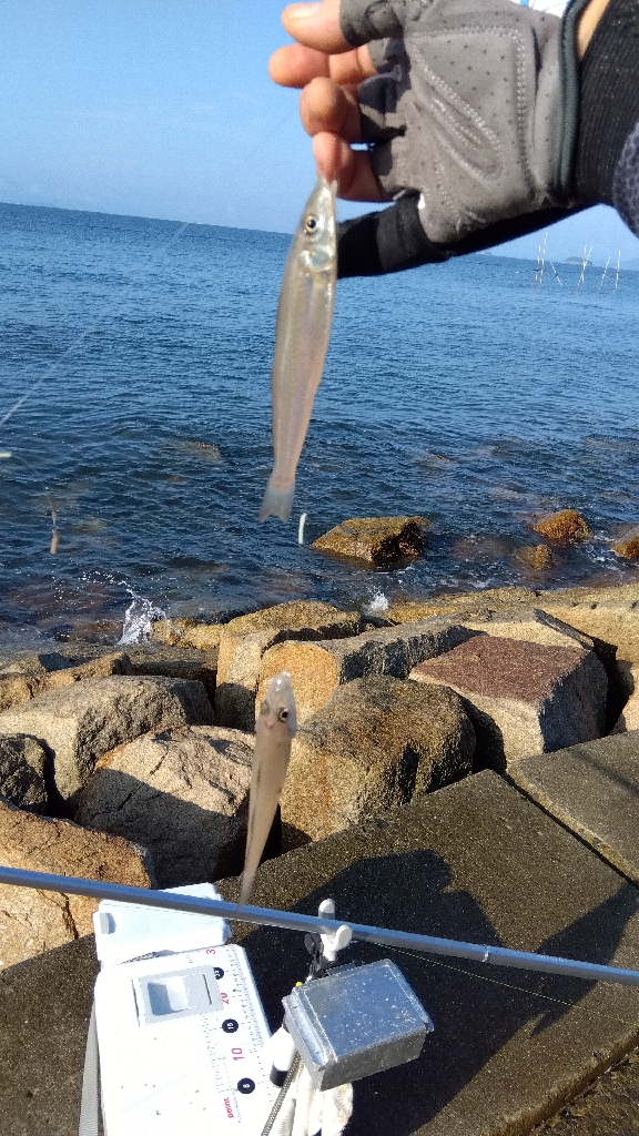 苅屋海岸の投げ釣り