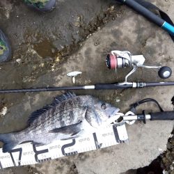 9月ようやく釣れた、マジ嬉しい