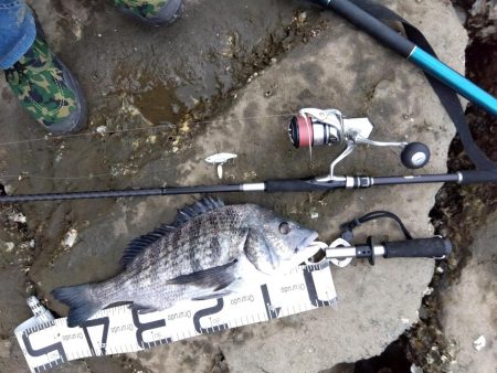 9月ようやく釣れた、マジ嬉しい