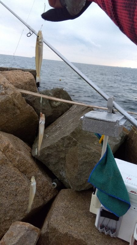大塩海岸のキス釣り