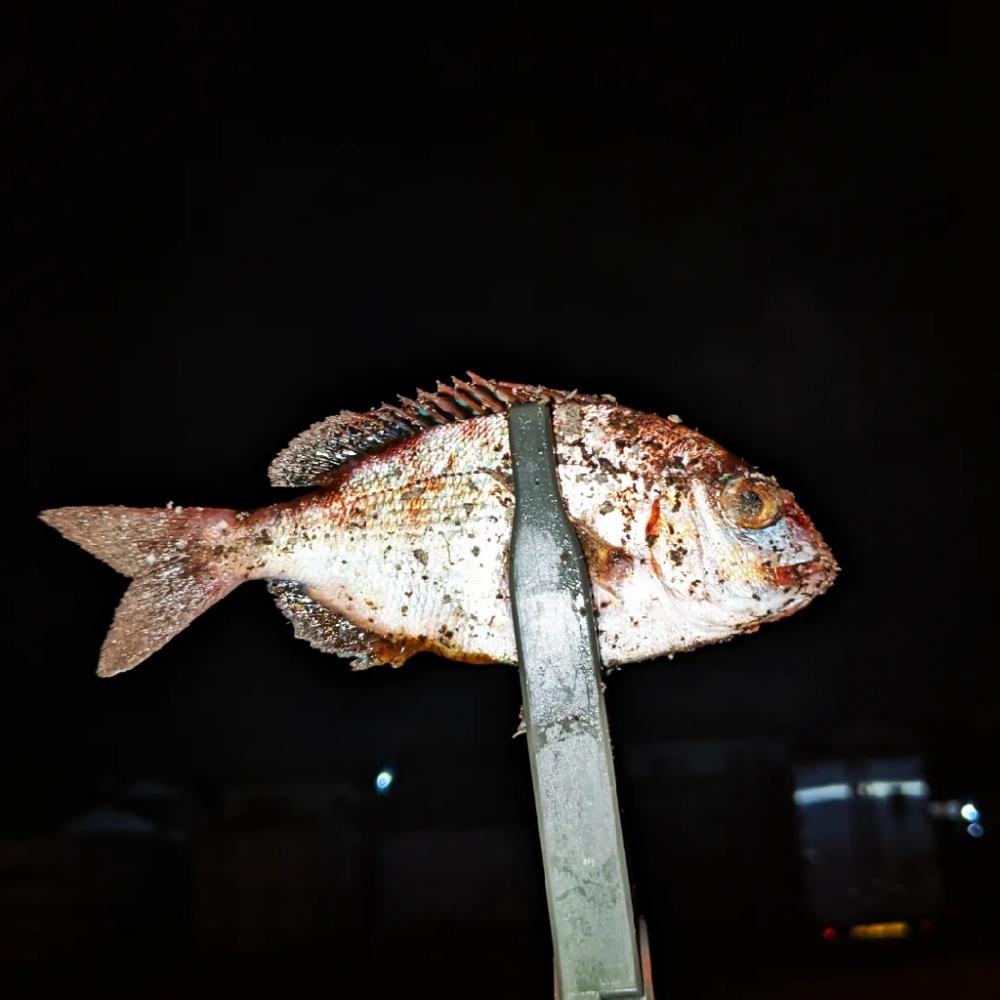 ボッチアジング