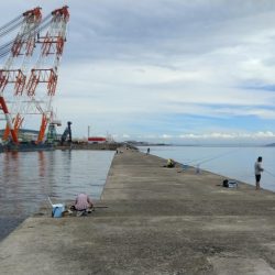 シーズン最高の釣果