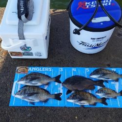 紀州釣り第6戦🙋