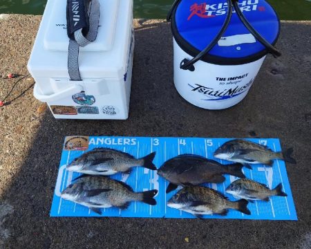 紀州釣り第6戦🙋