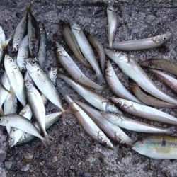 厳しい釣行でした