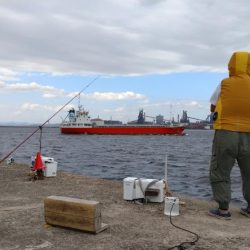 暴風の播磨新島釣行