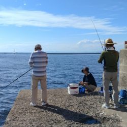 活性悪い播磨新島のキス