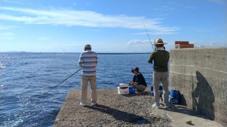 活性悪い播磨新島のキス