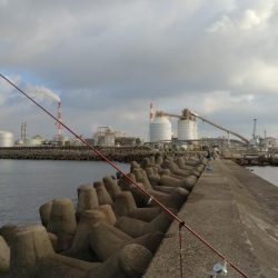 食い込みが悪くなった近場のキス