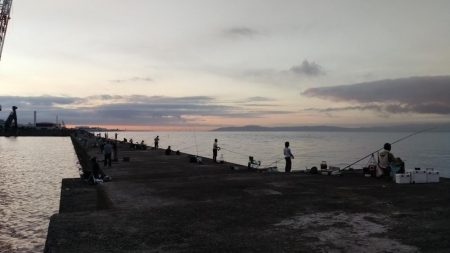 播磨新島のキス釣査