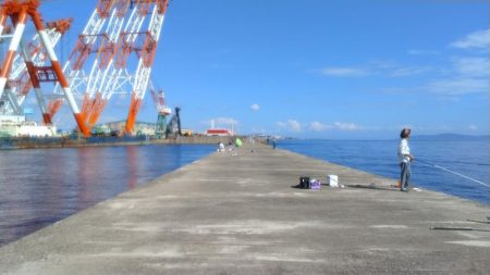 播磨新島のキス釣査