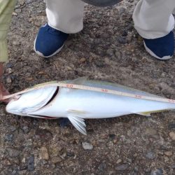 時合い遅く厳しい釣行でした