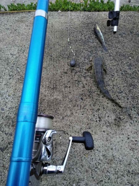 閖上港　青イソメ　ちょい投げ　ハゼ　コチ　…