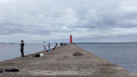 強烈なエサ取りでした