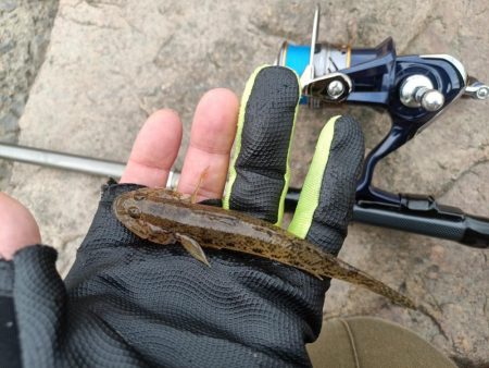 2023/09/23 大阪河川ライトゲーム釣行