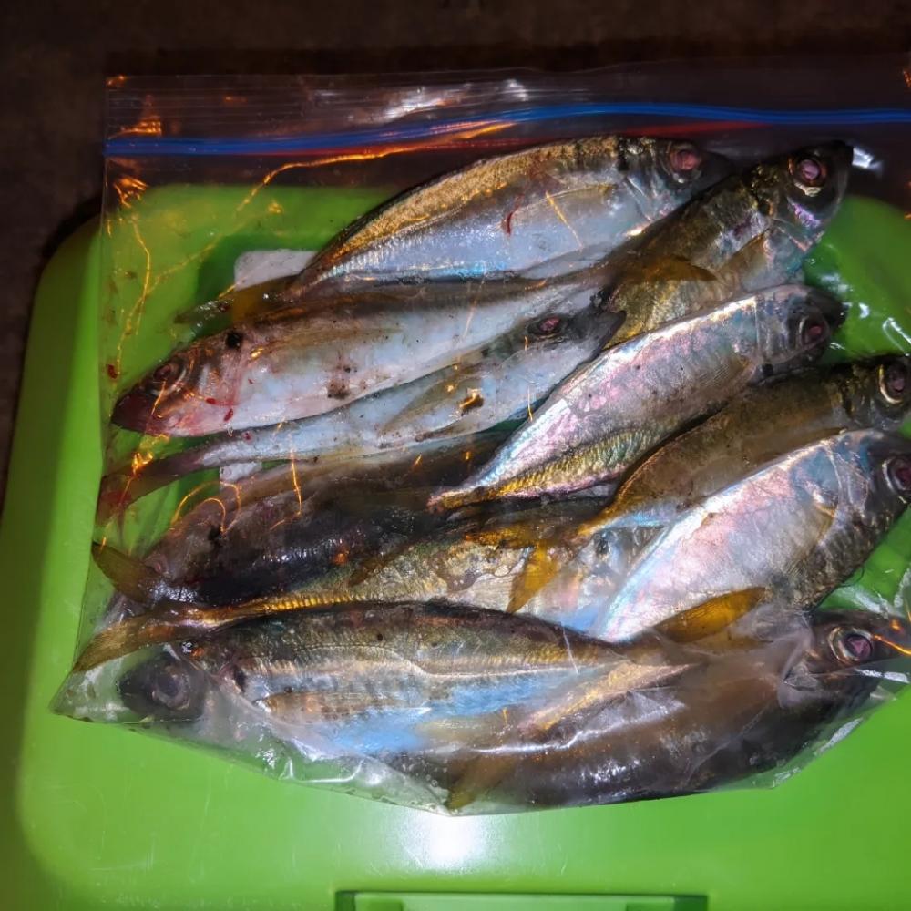 レベルアップ？