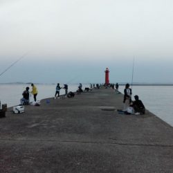 キ活性活性が悪い播磨新島