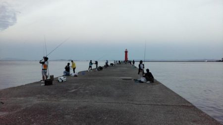 キ活性活性が悪い播磨新島