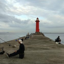 更に厳しくなった播磨新島のキス