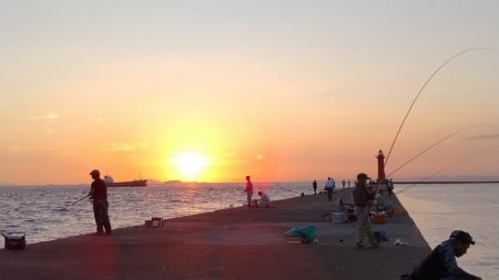 潮が動けどキスは釣れず