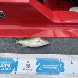 北山田ロクマル