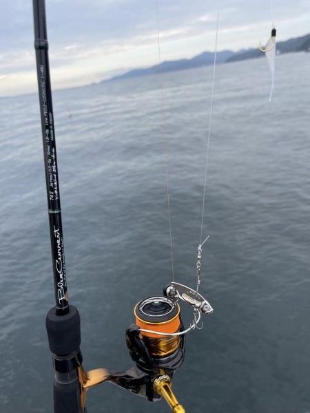 小さいけど久々の青物