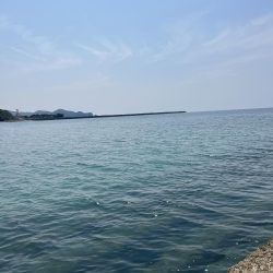 マゴチイベント