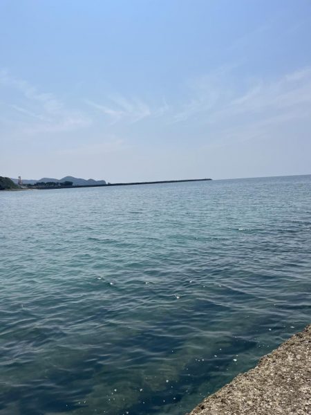 マゴチイベント