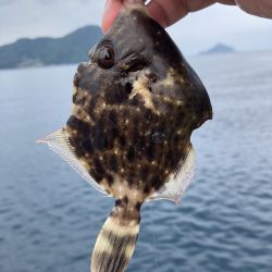 トリプルツバスのはずが