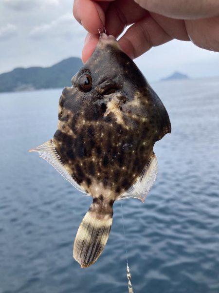 トリプルツバスのはずが