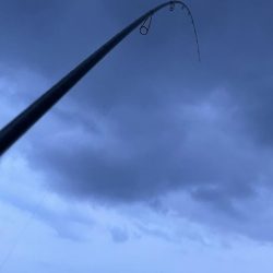 2023 佐渡ヶ島エギング 14回目【9月21日】