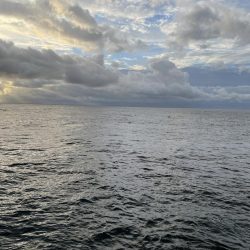 2023 佐渡ヶ島エギング 15回目【9月22日】