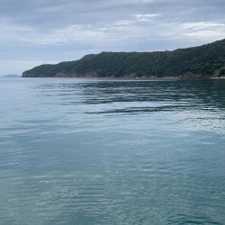 秋エギング開幕