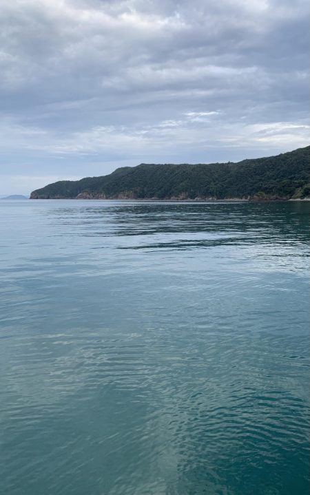 秋エギング開幕