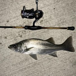 メッキ最盛期！