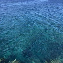 エギング　佐渡遠征2日目