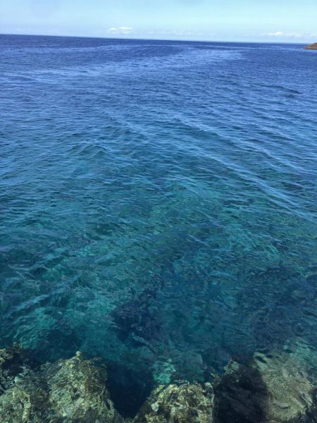 エギング　佐渡遠征2日目