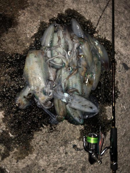 エギング　佐渡遠征②1日目