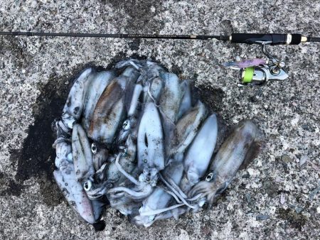 エギング　佐渡遠征③1日目