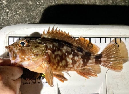 カサゴ釣りイベント2