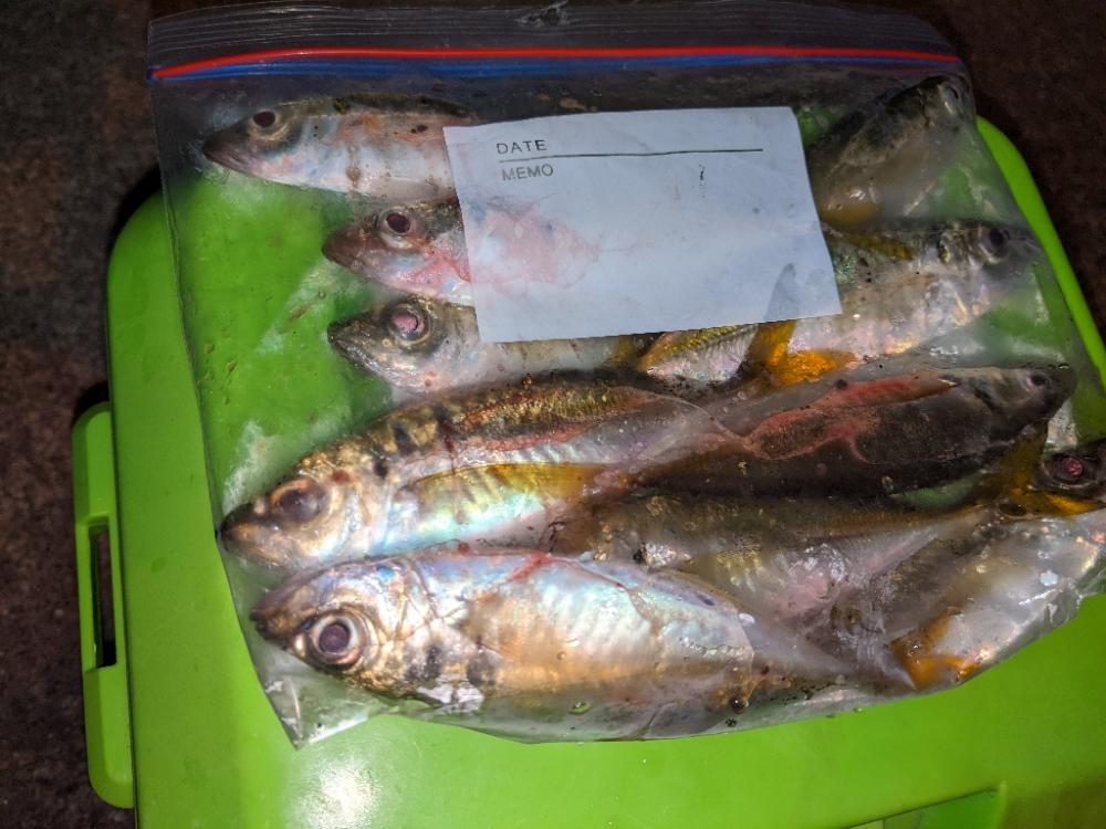 なんとかなった(^o^)