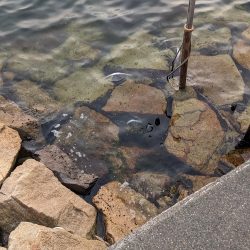 血と汗と墨(後半戦)