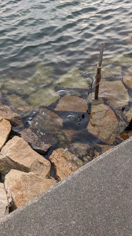 血と汗と墨(後半戦)