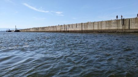 久しぶりルアーバラし多数